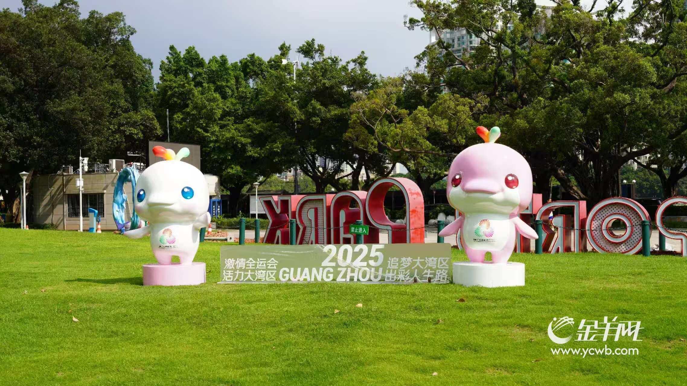 msn, entit, 乐融融